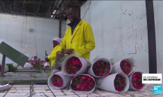 Gaz : vers un partenariat d'exception entre l'Algérie et l'Italie ?