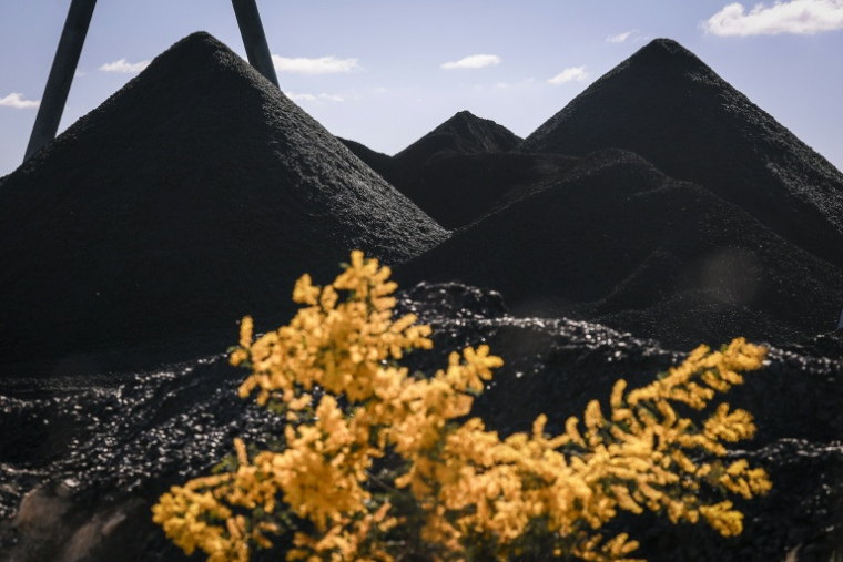Les mines de charbon australiennes sont en pleine expansion et enregistrent une explosion de leurs exportations ( AFP / DAVID GRAY )