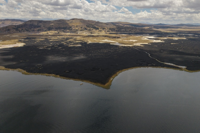 Une zone ravagée par les incendies dans la réserve naturelle du lac Titicaca à Puno, au Pérou le 23 octobre 2026 ( AFP / URIEL MONTEFUR )