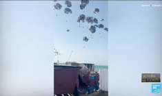 Famine imminente à Gaza selon l'ONU