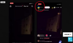 Dans les ruines du pont d'Irpin