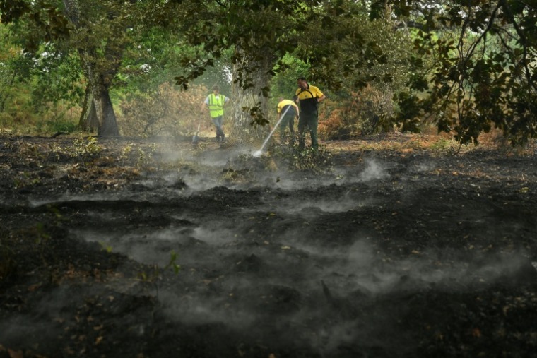 Des agents du Service de prévention des incendies de forêt (DFCI) éteignent des braises en forêt lors d'un incendie à Luglon, le 16 août 2026 dans les Landes ( AFP / Gaizka IROZ )