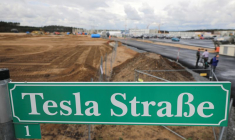 L'HIBERNATION DES SERPENTS FORCE TESLA À SUSPENDRE LA CONSTRUCTION DE SON USINE ALLEMANDE