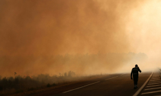 Un pompier marche sur une route à la lisière d'une zone en feu à Ares, le 26 juillet 2026, alors qu'un incendie de forêt ravage la forêt au nord du bassin d'Arcachon (Gironde) depuis le 22 juillet ( AFP / ROMAIN PERROCHEAU )