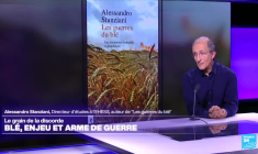 Géopolitique du blé : enjeu et arme de guerre