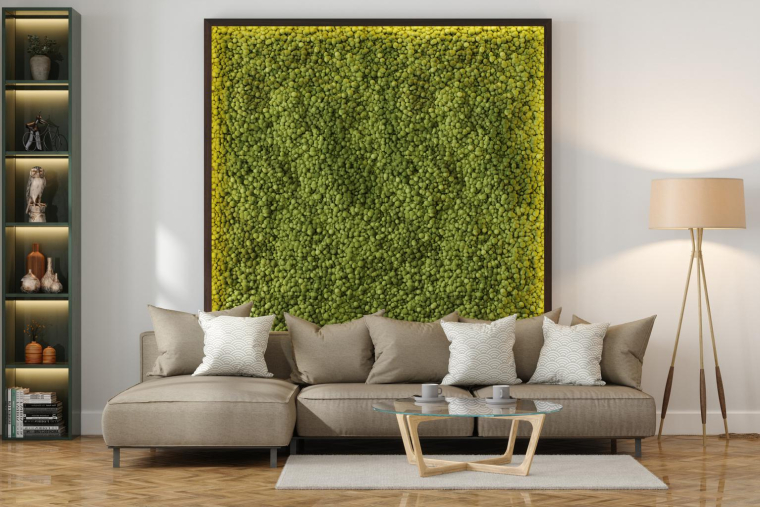 Vous pouvez fabriquer vous-même un mur végétalisé avec des matériaux de récupération, ou bien utiliser un kit. ( crédit photo : Getty Images )