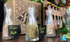 Confinement en France : les bars dans l'attente d'une réouverture