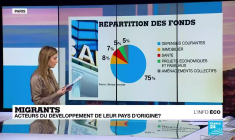 Les migrants, acteurs du développement de leur pays d'origine ?