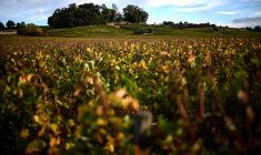 ( AFP / CHRISTOPHE ARCHAMBAULT )