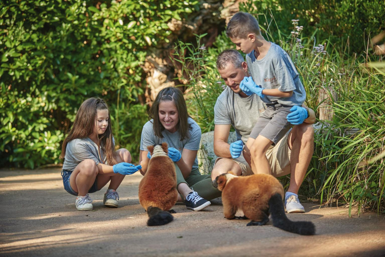 Immergez-vous dans le quotidien des soigneurs du zoo de la Flèche, pour vivre une expérience inoubliable. ( crédit photo : V. Corvasier )