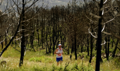 Un coureur participe au "Trail des Cendres" à travers une forêt brûlée à Bages, le 14 juin 2026 dans l'Aude ( AFP / Idriss Bigou-Gilles )