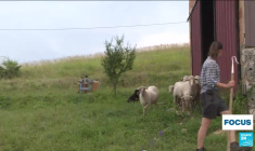 L'installation agricole, un long parcours semé d'embûches