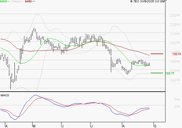 SARTORIUS STEDIM BIOTECH : Attendre un test du support