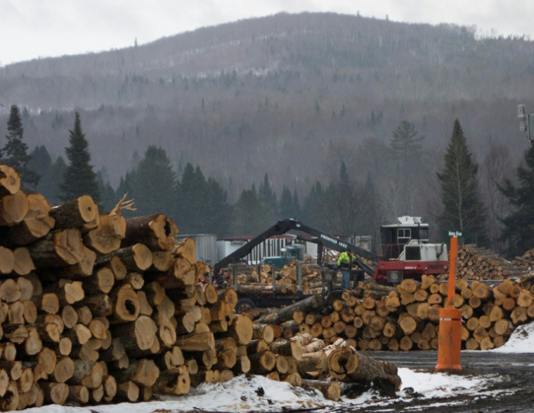 Le bois de construction, les meubles et les aménagements de cuisine sont, depuis mardi à 00h01 (04H01 GMT), les derniers secteurs en date concernés par des droits de douane sectoriels voulus par Donald Trump ( AFP / Don EMMERT )