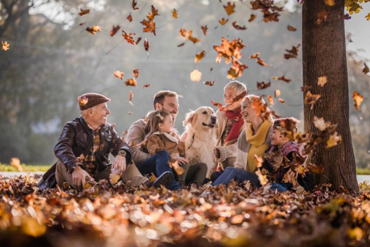iStock.com - skynesher