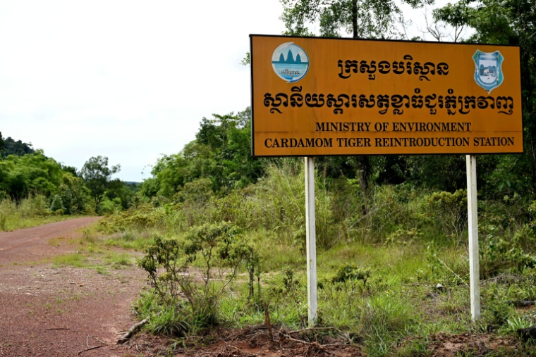 Une route menant à une station de réintroduction de tigres dans le parc national des Cardamomes, dans la province de Koh Kong, le 11 juin 2026 au Cambodge ( AFP / TANG CHHIN Sothy )