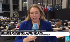 L'UE tente de trouver une réponse commune à la crise énergétique