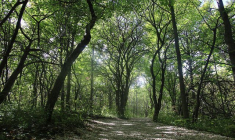 (Crédits photo : Flickr - Atraktor studio )