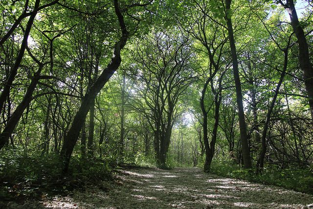 (Crédits photo : Flickr - Atraktor studio )