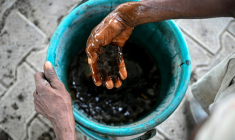 Un homme prépare un sirop destiné à la fabrication d'un engrais organique dans une usine de biofertilisants située à Bharatpur, en Inde, le 9 juin 2026 ( AFP / Arun SANKAR )