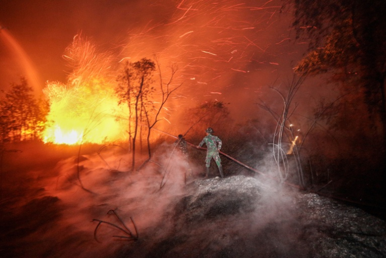 Des soldats et des pompiers s’emploient à maîtriser un incendie de forêt à Banjarbaru, dans la province de Kalimantan du Sud, en Indonésie, le 13 octobre 2026 ( AFP / MUDA SAGALA )