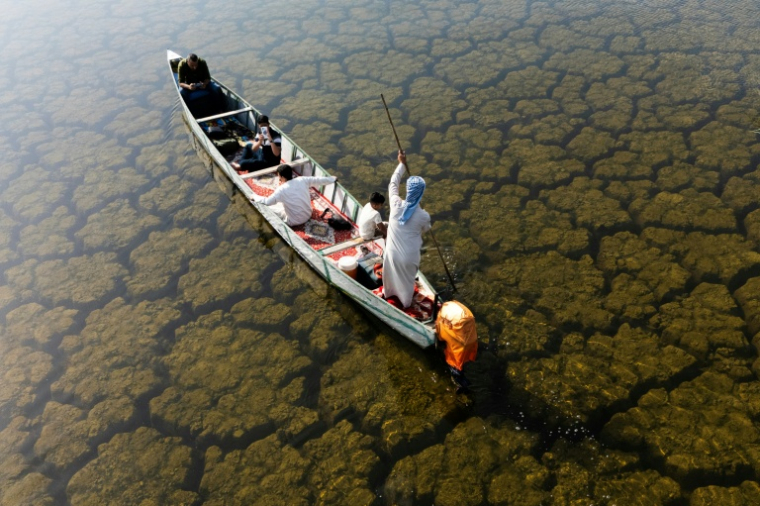 Des pêcheurs naviguent dans les marais de Hawizeh, dans le sud de l'Irak, le 26 avril 2026 ( AFP / Hussein FALEH )