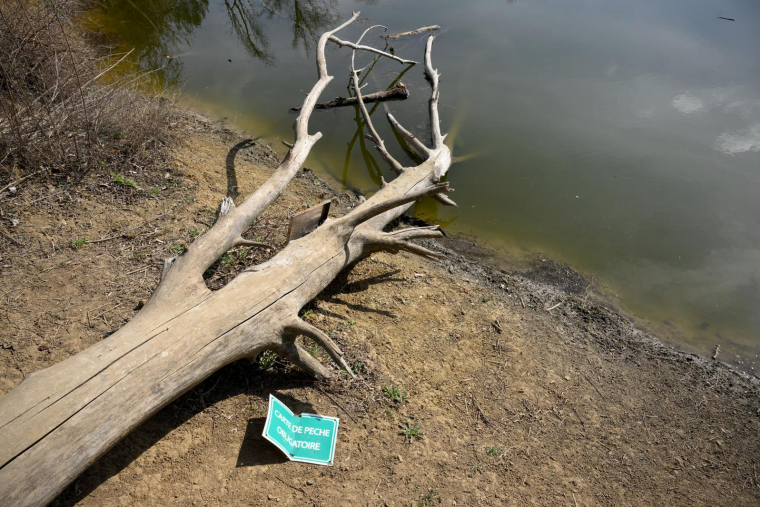 ( AFP / NICOLAS TUCAT )