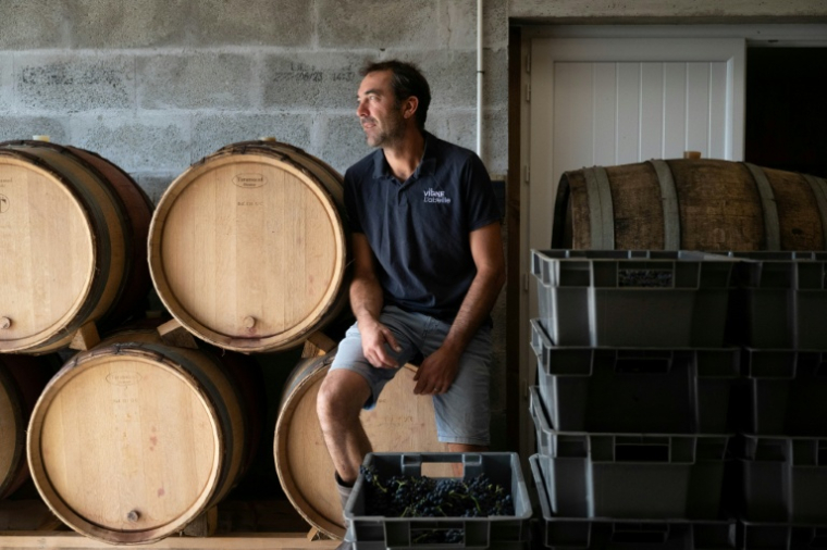 Loïc Fourrure, un pionnier de la viticulture en Bretagne, dans son chai pendant les vendanges à Theix-Noyalo, près de Vannes (Morbihan), le 24 août 2026 ( AFP / Sebastien Salom-Gomis )