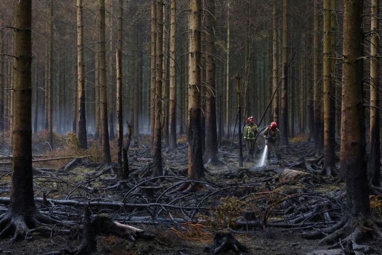 Incendie de forêt en Belgique