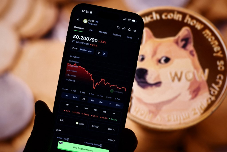 Illustration montrant l'évolution du cours de la cryptomonnaie dogecoin. ( AFP / HENRY NICHOLLS )