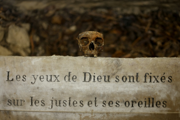 Des crânes et des ossements humains alignés contre un mur des catacombes de Paris, le 24 mars 2026 ( AFP / Kenzo TRIBOUILLARD )