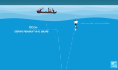 Océans en danger : les scientifiques en première ligne