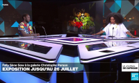 Fally Sène Sow : l'artiste qui redonne vie à la nature morte