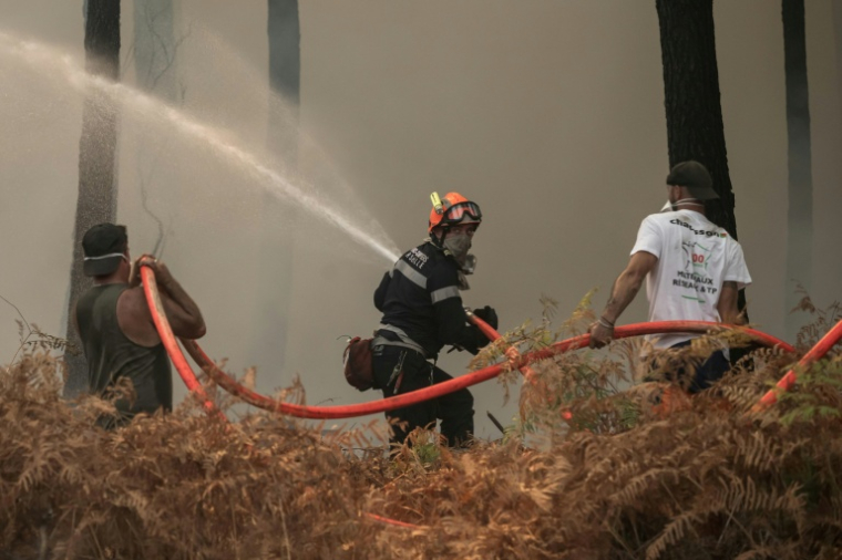 Des pompiers et des volontaires combattent un incendie de forêt à Lanton le 29 juillet 2026, lors des feux de forêt dans le département de la Gironde, dans le sud-ouest de la France ( AFP / Ed JONES )
