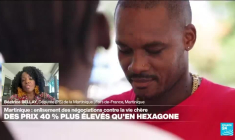 Crise économique et alimentaire : la Martinique 'attend des résultats rapides' de l'État français