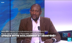 Résultat des législatives françaises : entre soulagement et désintérêt en Afrique