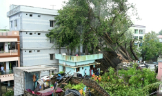 Des maisons endommagées par des arbres déracinés, après que le cyclone Arnab a touché terre à Yanam, dans le territoire de Pondichéry, le 28 octobre 2026 en Inde ( AFP / NOAH SEELAM )
