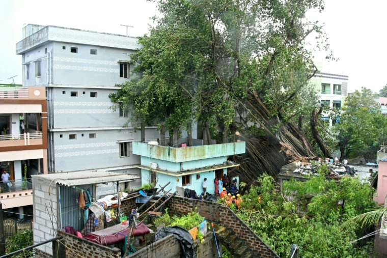 Des maisons endommagées par des arbres déracinés, après que le cyclone Arnab a touché terre à Yanam, dans le territoire de Pondichéry, le 28 octobre 2026 en Inde ( AFP / NOAH SEELAM )