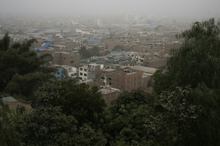 Vue aérienne de "La Selva Escondida" (La Jungle Cachée) dans le district de San Juan de Lurigancho, à Lima, le 9 juin 2025 ( AFP / Ernesto BENAVIDES )