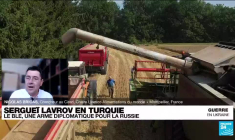 Guerre en Ukraine : le blé, une arme diplomatique pour la Russie