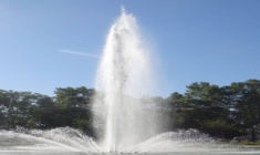 Une performance annualisée de 4% au 1er semestre 2021 pour les SCPI (ASPIM-IEIF)