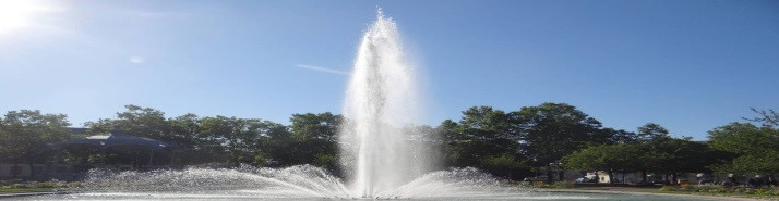 Une performance annualisée de 4% au 1er semestre 2021 pour les SCPI (ASPIM-IEIF)