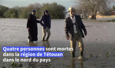 Maroc: dans le nord-ouest inondé, des agriculteurs ont "tout perdu"