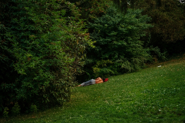 Dans le Parc des Buttes-Chaumont à Paris, le 26 juin 2026 ( AFP / Dimitar DILKOFF )