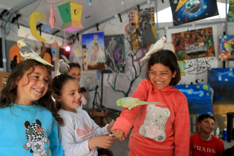 During the sessions, children are able to pet birds, a rabbit, a small tortoise, a hedgehog and a fluffy white dog ( AFP / Eyad Baba )