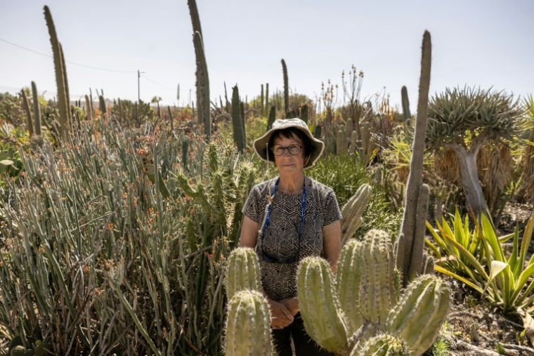 Sheila Gerber, qui gère un jardin botanique et une plantation de cactus avec son mari Yaakov dans le village de Talmei Yossef, le 21 mai 2025 dans le sud d'Israël ( AFP / Menahem KAHANA )