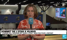 Sommet de l'Otan à Vilnius : des engagements de sécurité attendus pour l'Ukraine