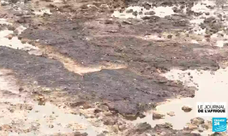 Sénégal : des pêcheurs attaquent en justice une usine de transformation