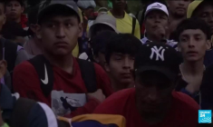 Migrants : dans l'enfer de la jungle du Darien Gap au nord de la Colombie