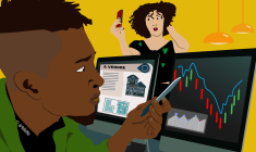 Le patrimoine d'un abonné au Revenu. (© Artelette)